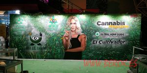 pintura mural cannabis para spannabis 2019 Barcelona